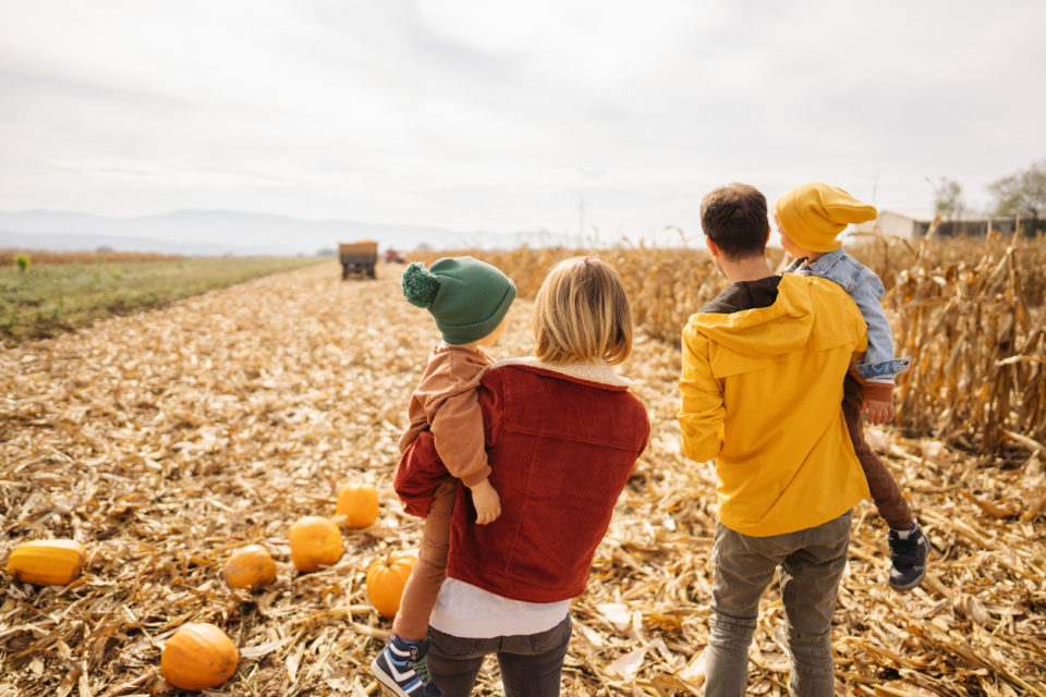 Young family on a pumpkin field